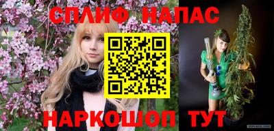 индика Кандалакша